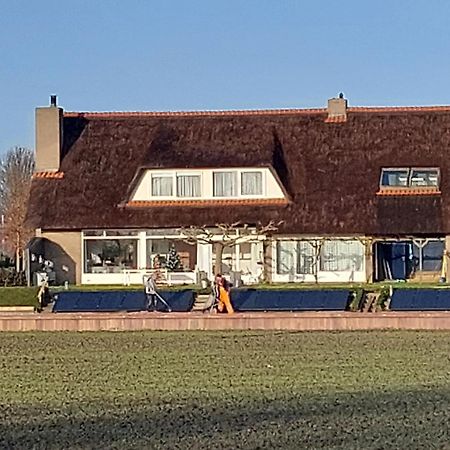Bed and Breakfast Riethove Harlingen Zewnętrze zdjęcie