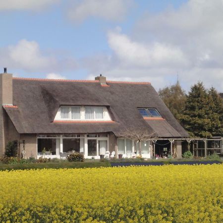 Bed and Breakfast Riethove Harlingen Zewnętrze zdjęcie
