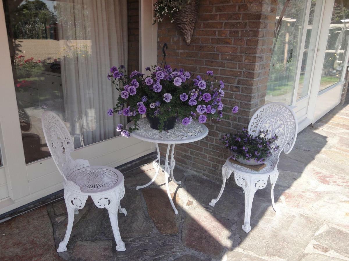 Bed and Breakfast Riethove Harlingen Zewnętrze zdjęcie