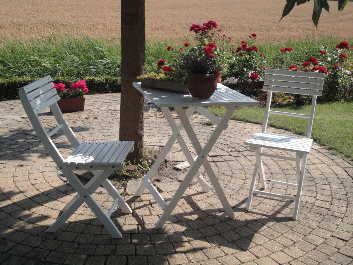 Bed and Breakfast Riethove Harlingen Zewnętrze zdjęcie