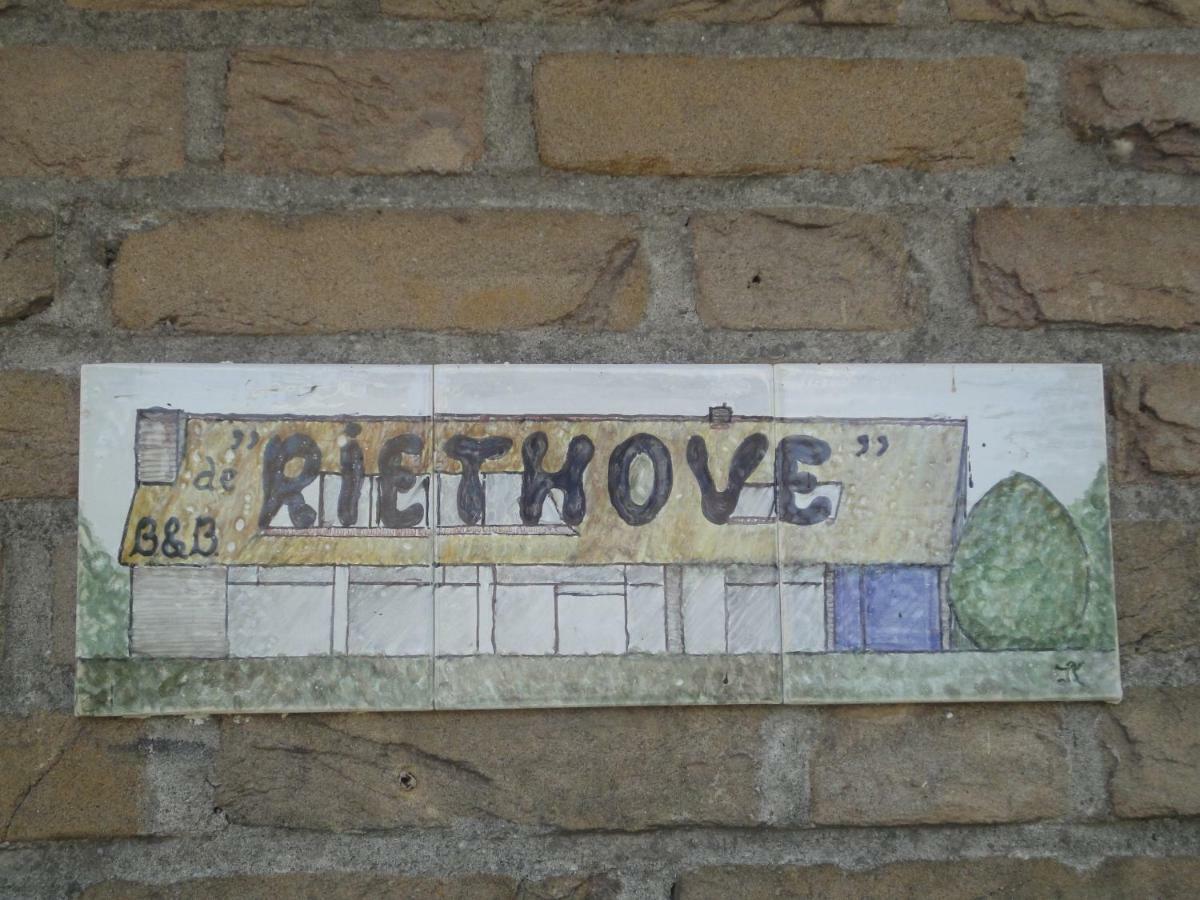 Bed and Breakfast Riethove Harlingen Zewnętrze zdjęcie