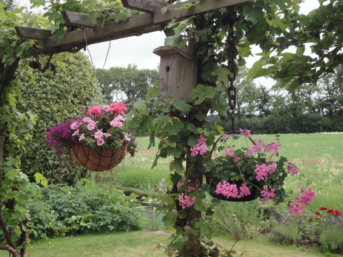 Bed and Breakfast Riethove Harlingen Zewnętrze zdjęcie