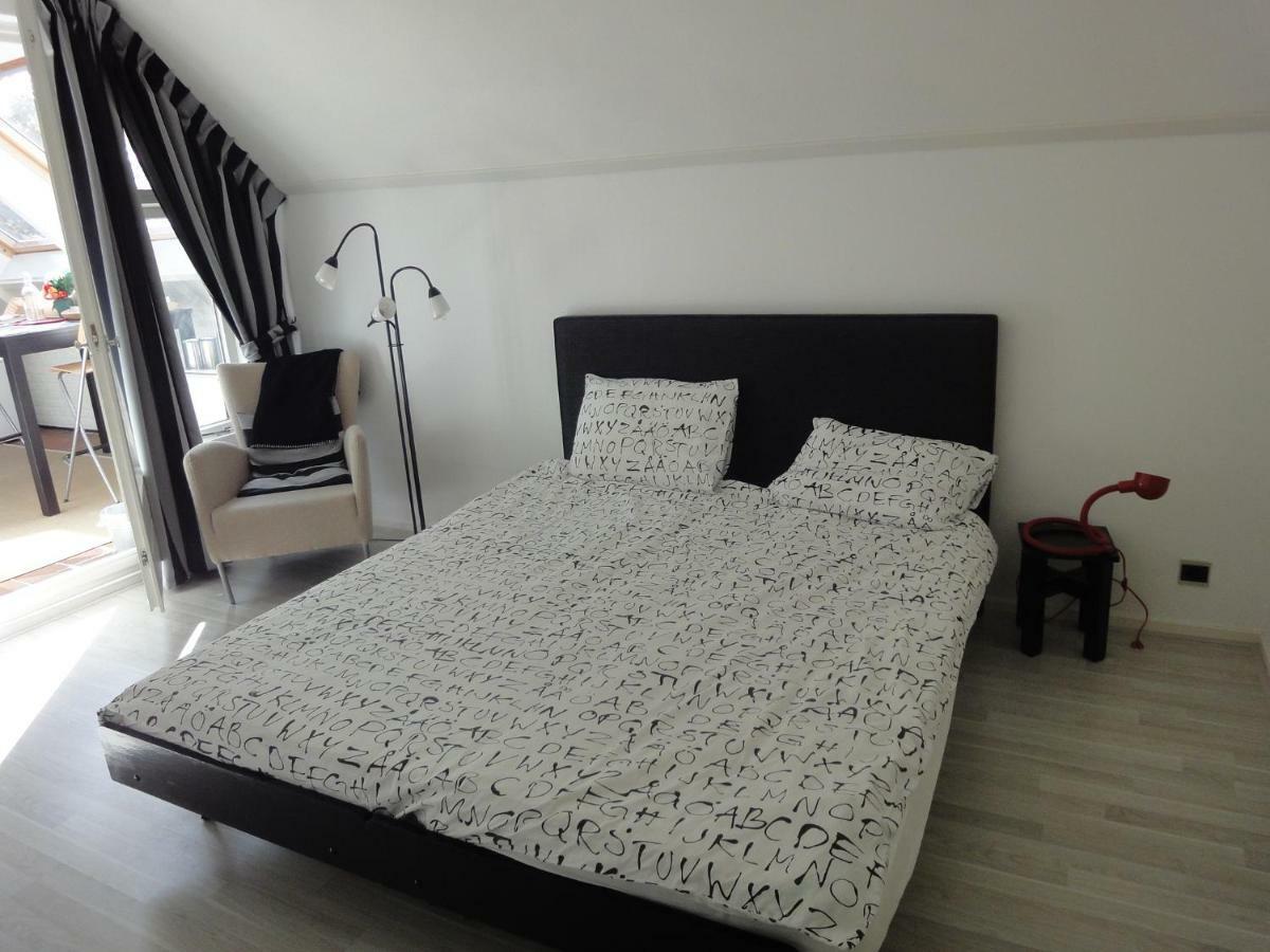 Bed and Breakfast Riethove Harlingen Zewnętrze zdjęcie